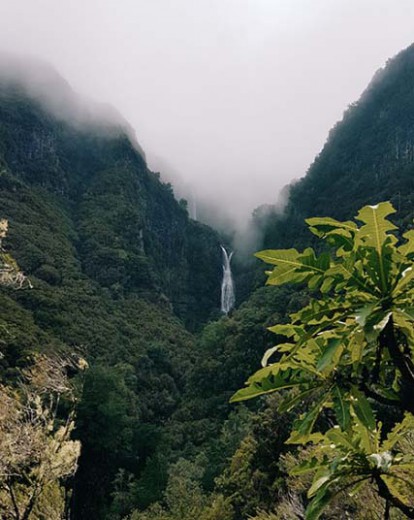 Explore Madeira